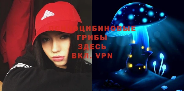 ешки Лиски