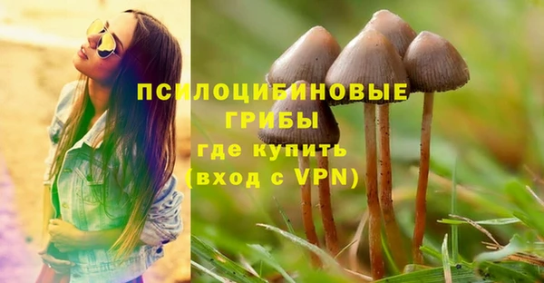 ешки Лиски