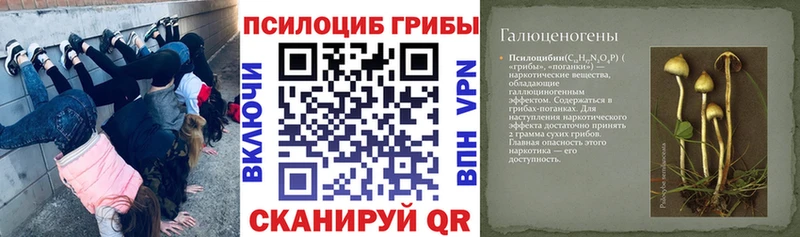Галлюциногенные грибы мицелий  Купить закладки  Лакинск 